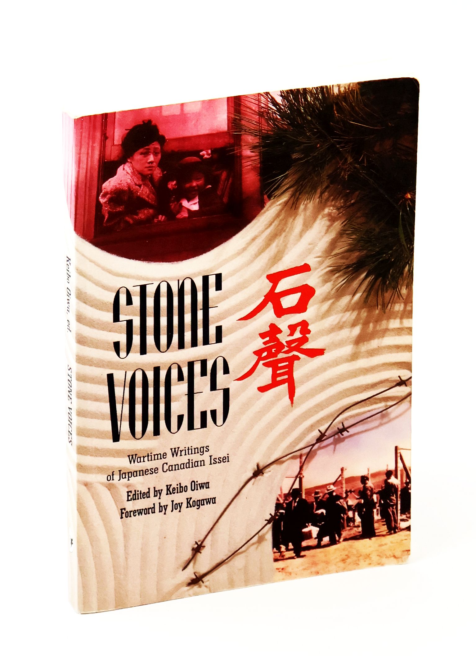 Image for Stone Voices - Wartime Writings of Japanese Canadian Issei Stone Voices - Wartime Writings of Japanese Canadian Issei