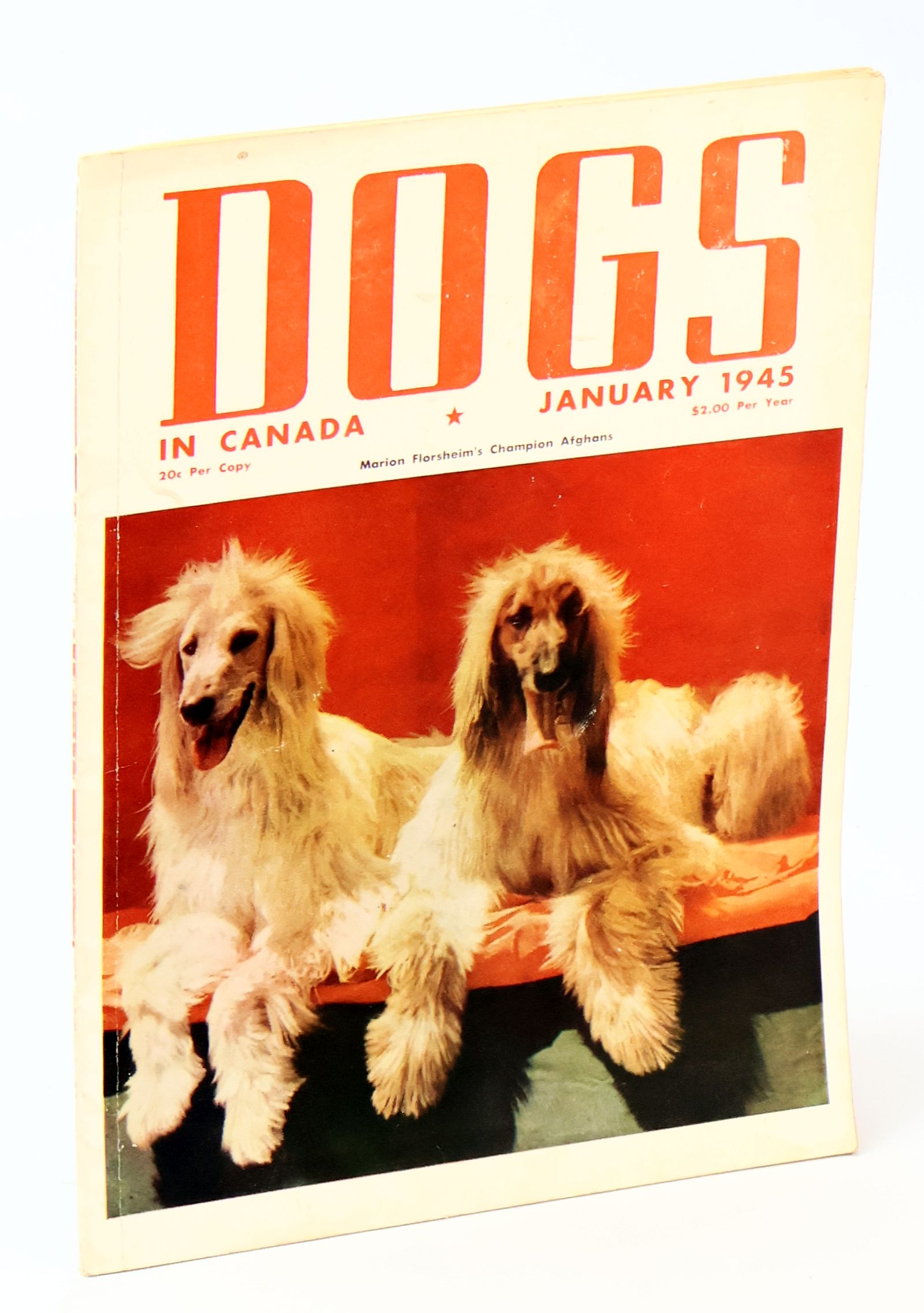 Image for Dogs in Canada Magazine, January 1945, Vol. 33 - No. 4: Marion Florsheim's Champion Afghans Dogs in Canada Magazine, January 1945, Vol. 33 - No. 4: Marion Florsheim's Champion Afghans
