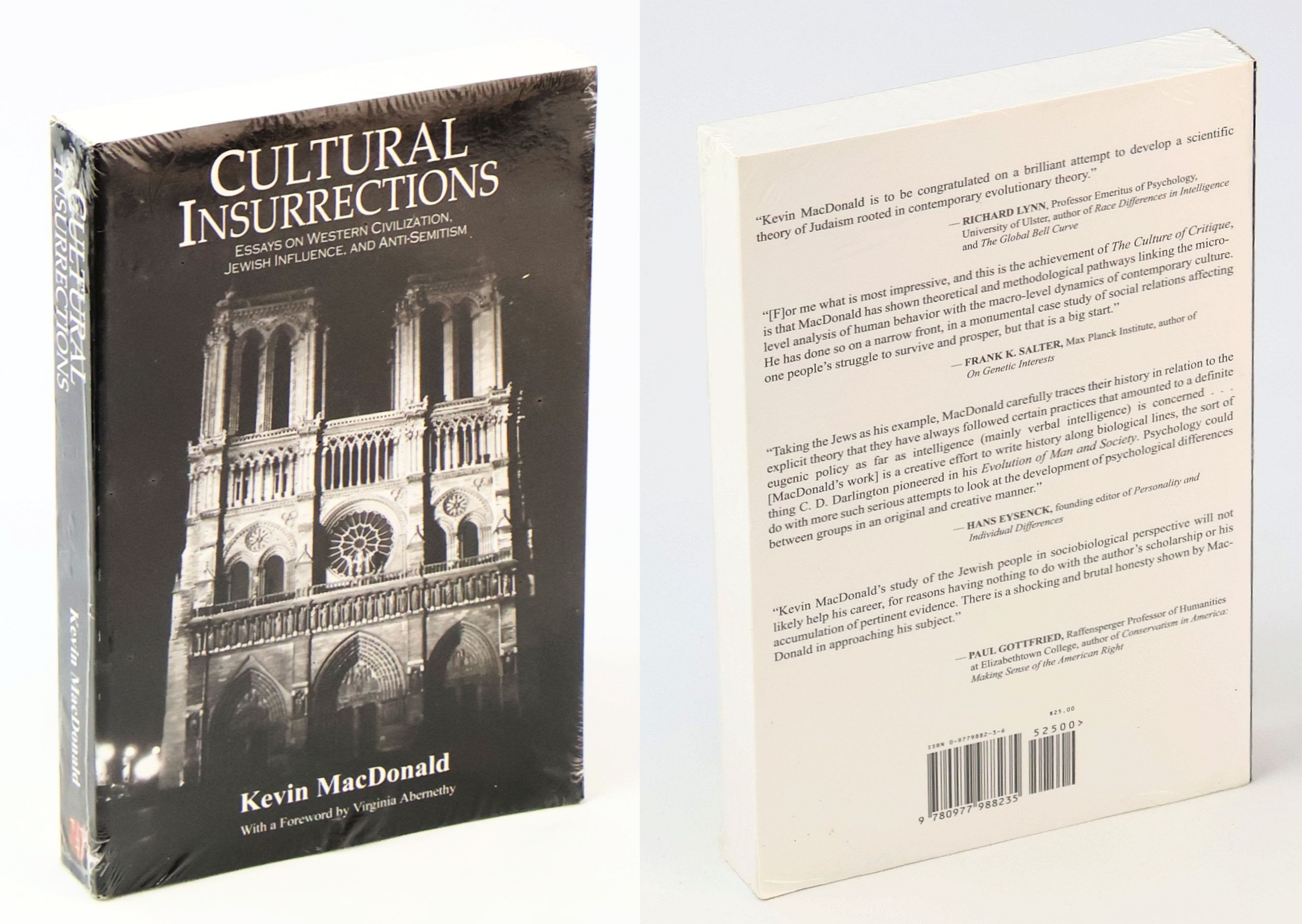 Cultural Insurrections - Essays on Western Civilization, Jewish Influence, and Anti-Semitism