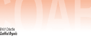 blue%20harvest%20farm%20-%20certified%20organic%20blueberries006015.gif